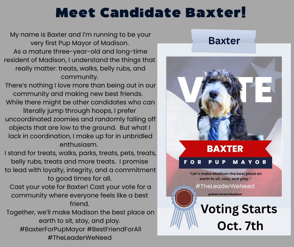 Vote For Baxter