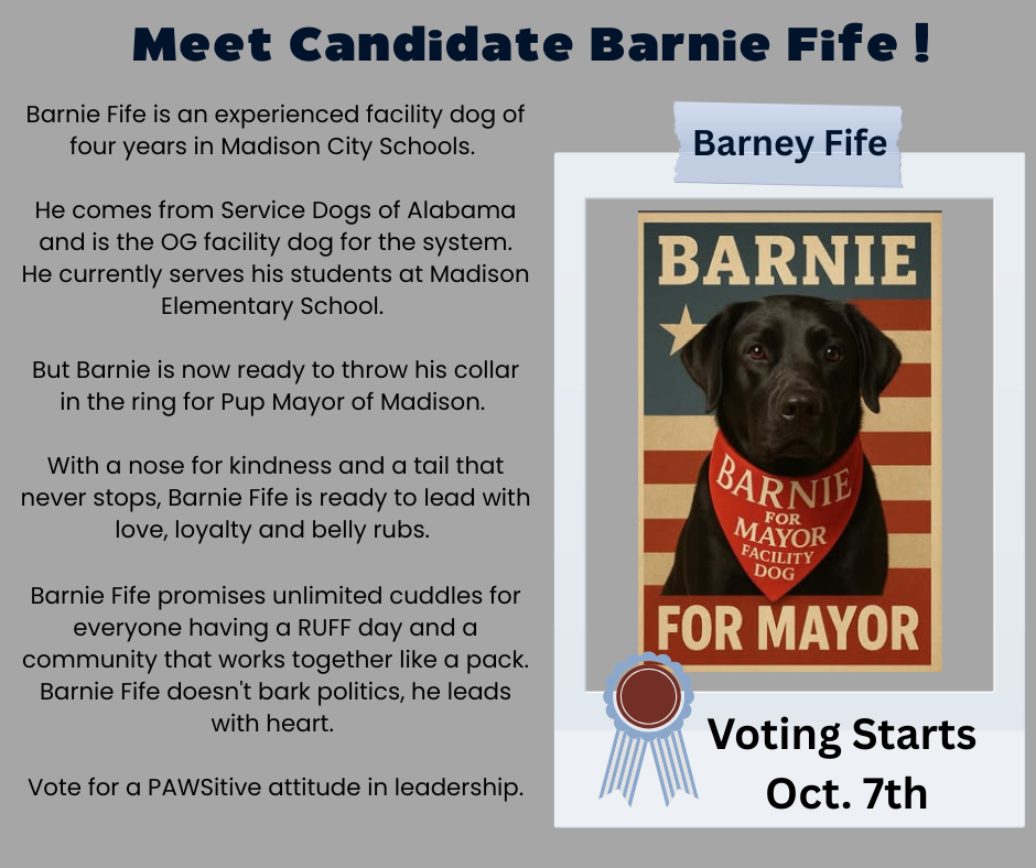 Vote For Barnie