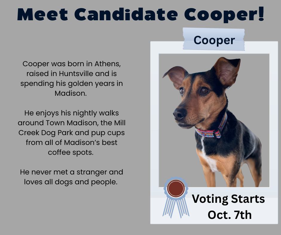 Vote For Cooper