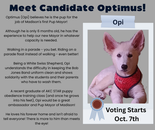 Vote For Optimus