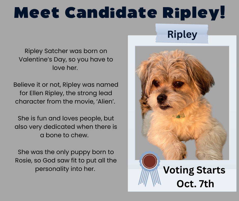 Vote For Ripley