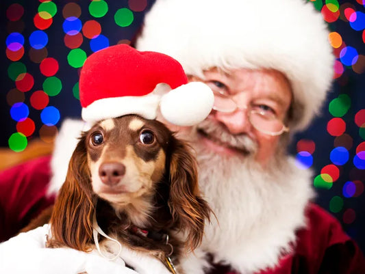 Pet Pics with Santa  11/30